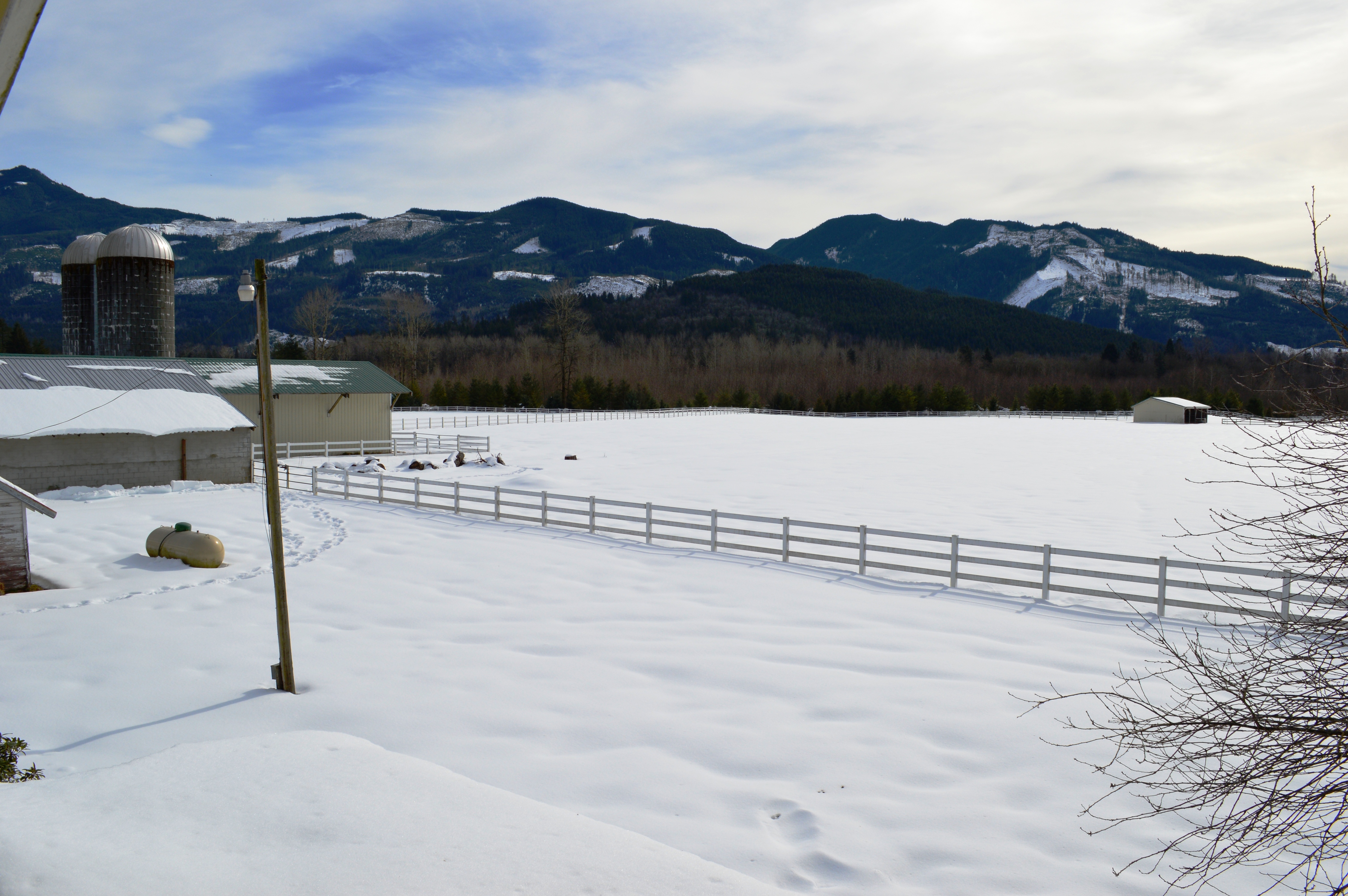 Bellingham Equestrian property with barn & stables for sale